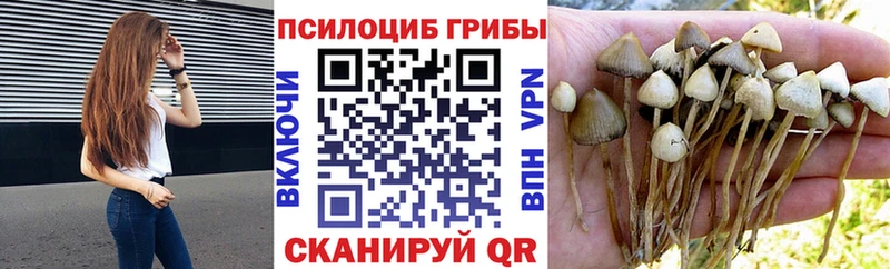 цена   Чусовой  KRAKEN как зайти  Галлюциногенные грибы Magic Shrooms 